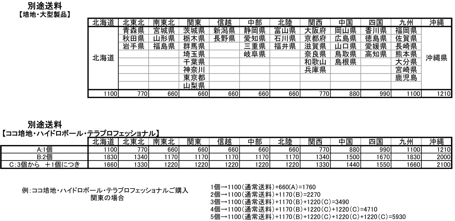 Roots Excelerator Gold （ルートアクセラレーターゴールド）